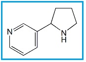 Nicotine Related Compound F